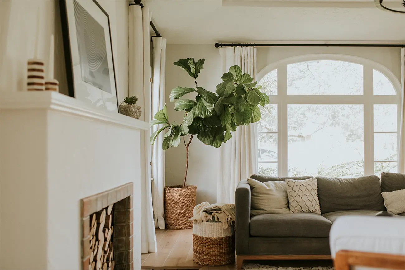 Living room with fireplace
