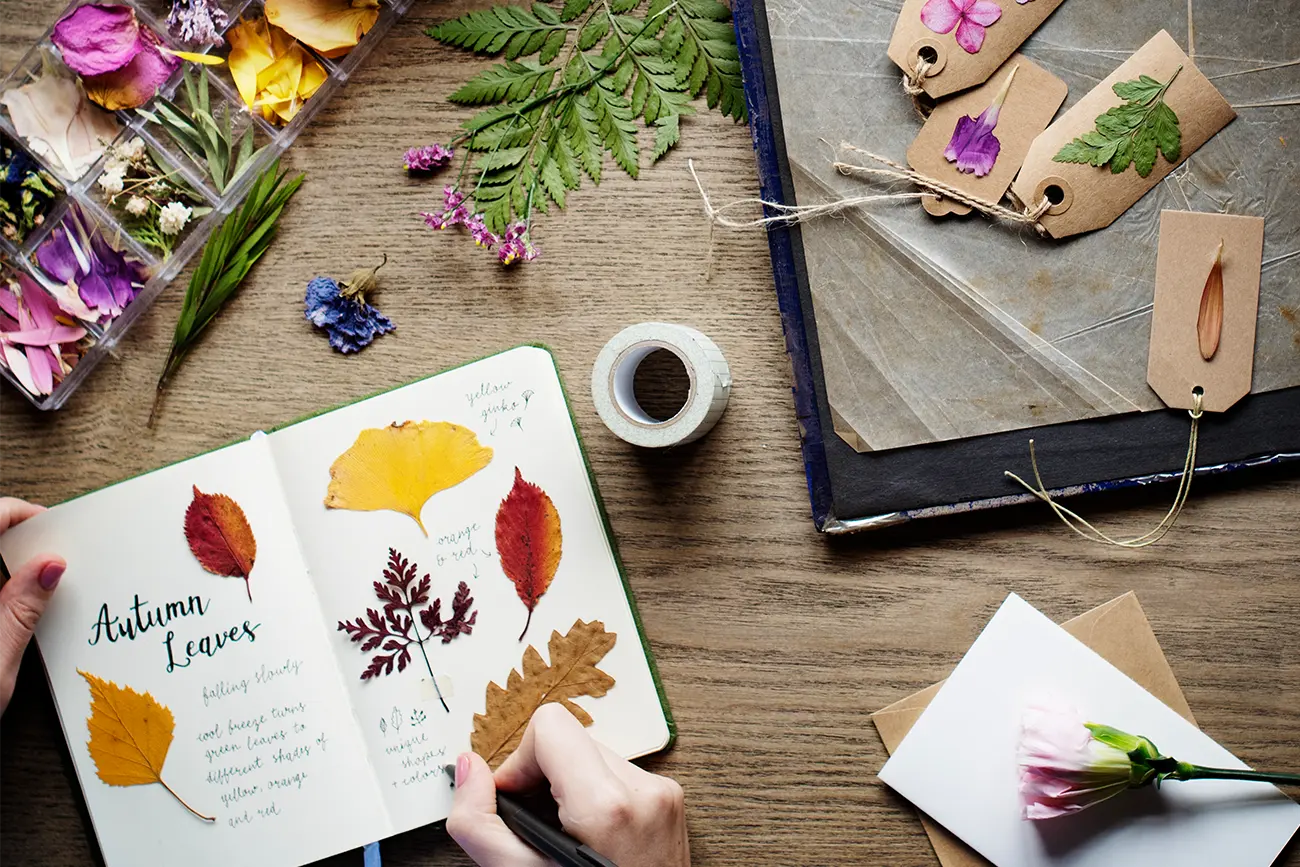 example of pressing roses for paper crafts