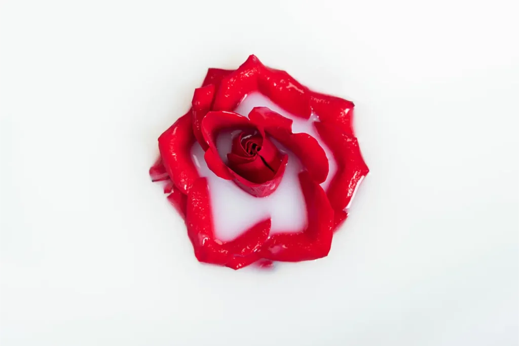 preserve roses with wax