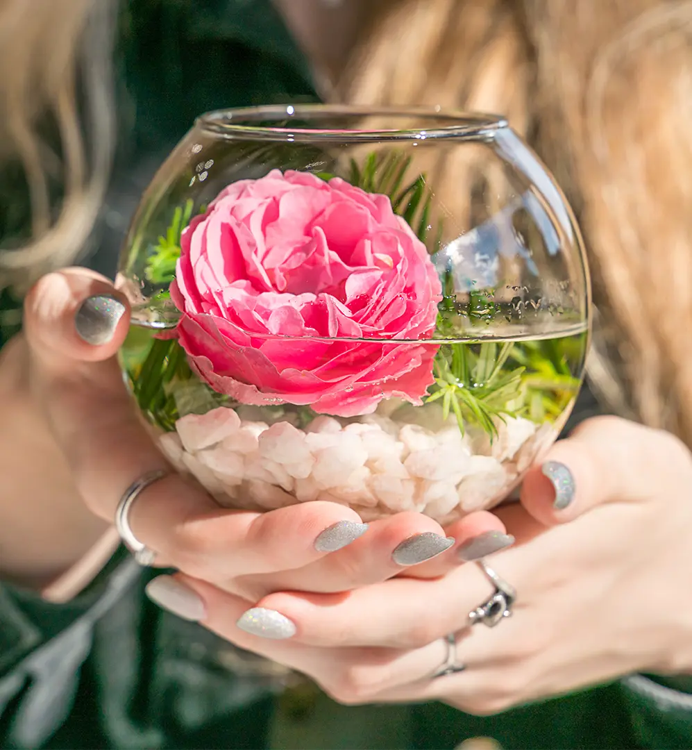 roses are great for creative projects image header