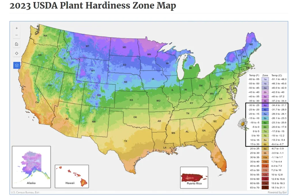 2023 USDA Plant Hardiness Zone Map marked for Daisies