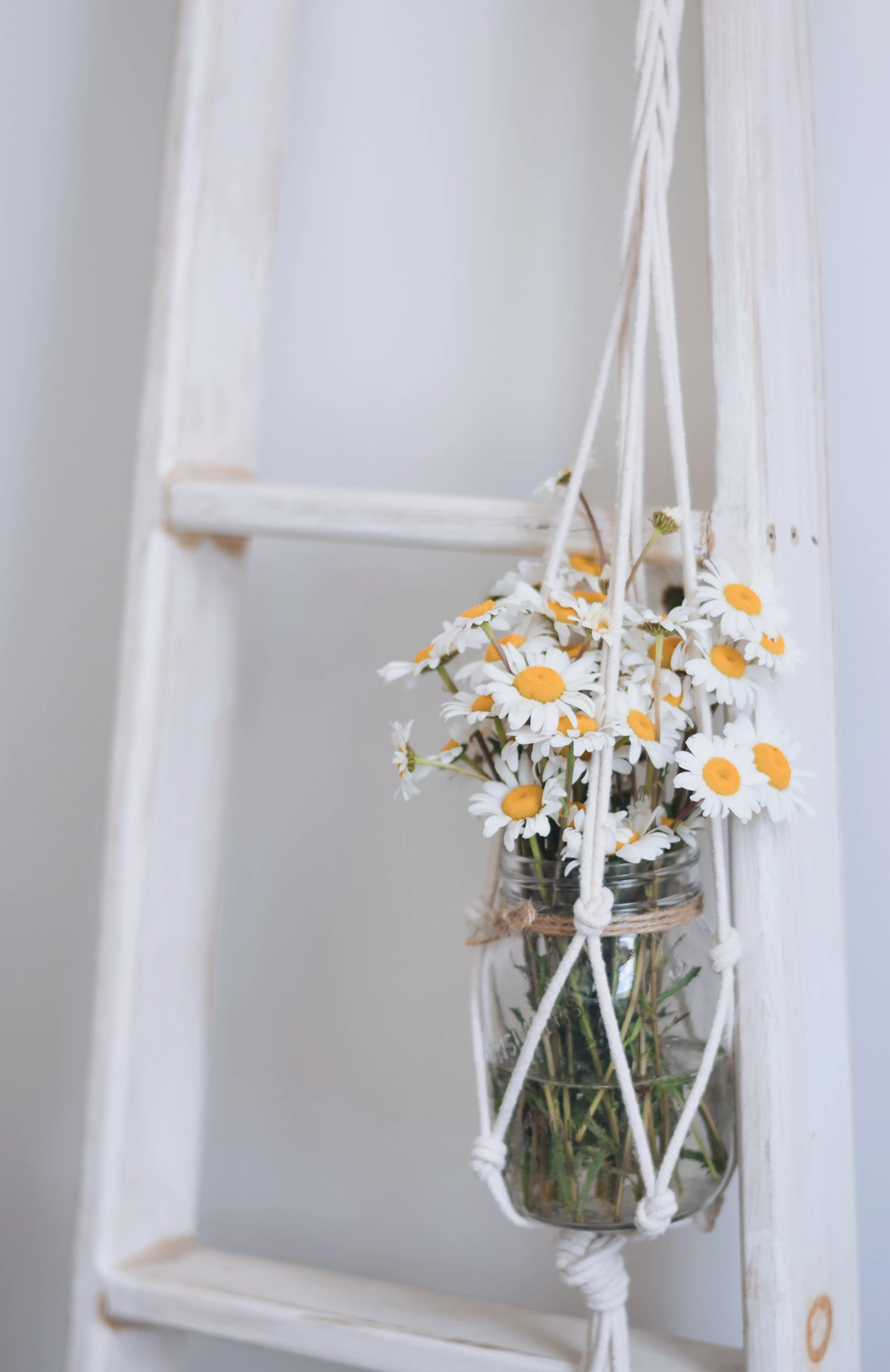 Daisy Home Decor