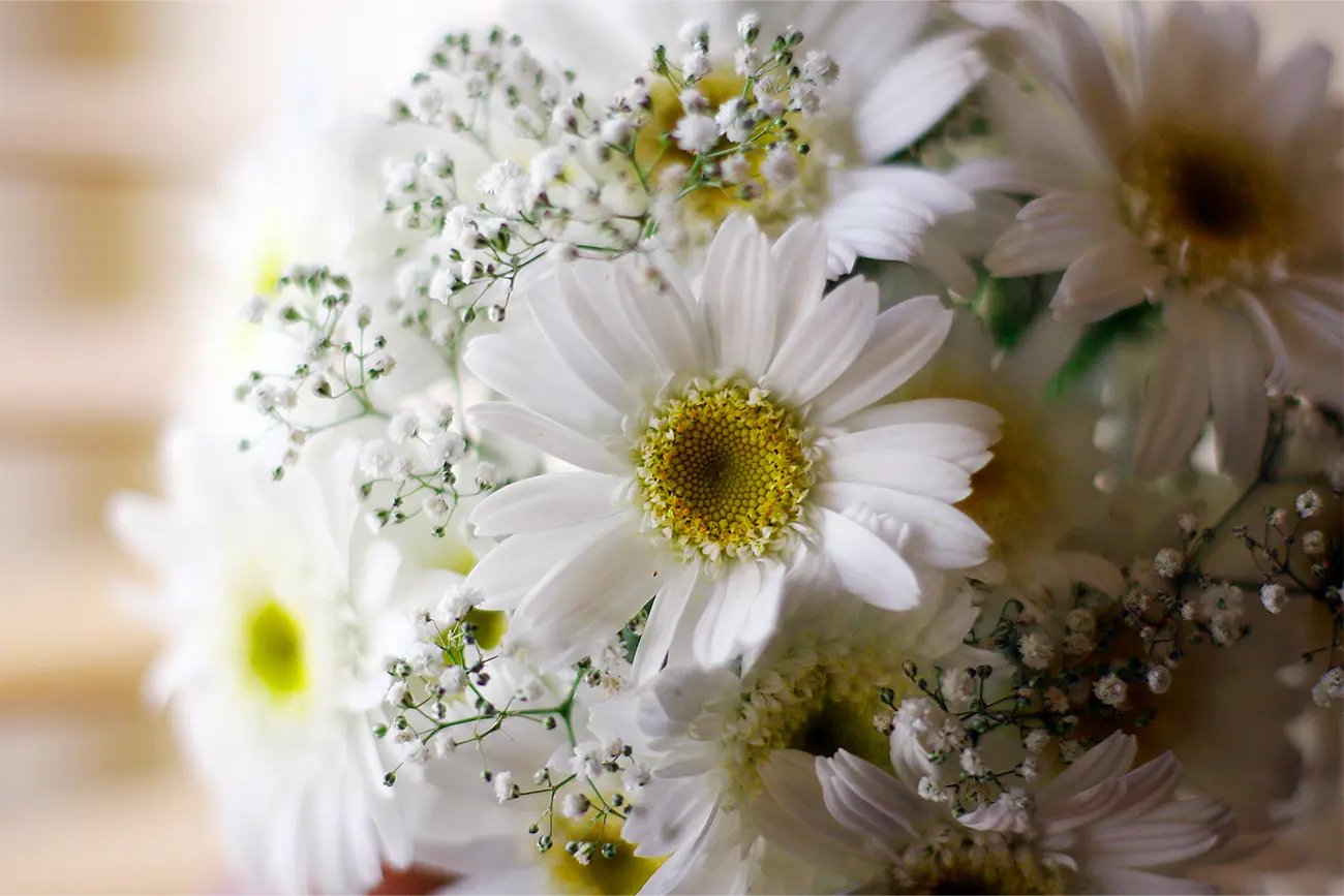 Daisy Wedding Bouquet