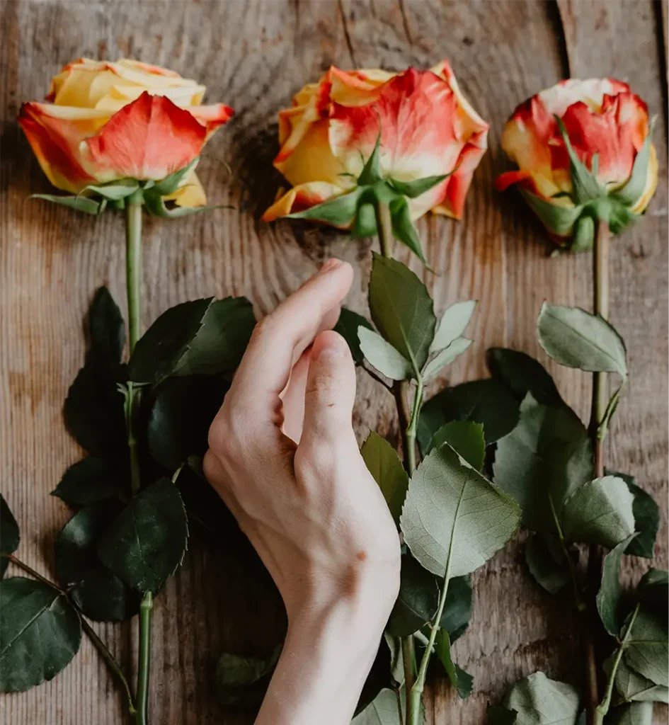 Roses preserved for sentimental reasons